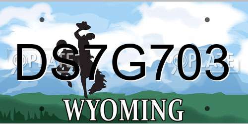 DS7G703 Wyoming License Plate