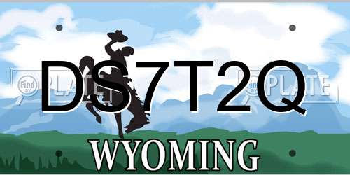 DS7T2Q Wyoming License Plate