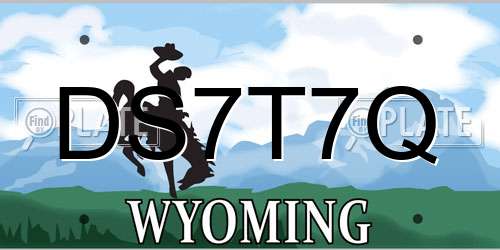 DS7T7Q Wyoming License Plate