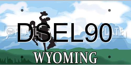 DSEL90 Wyoming License Plate