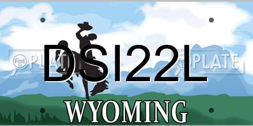 DSI22L Wyoming License Plate