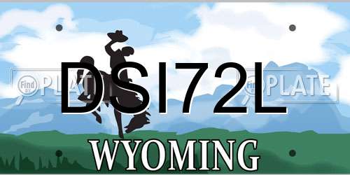 DSI72L Wyoming License Plate