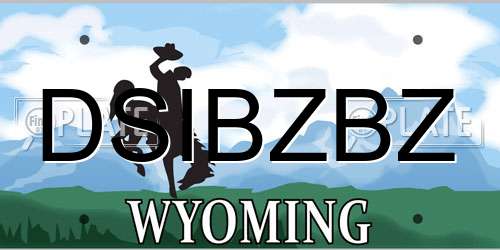 DSIBZBZ Wyoming License Plate