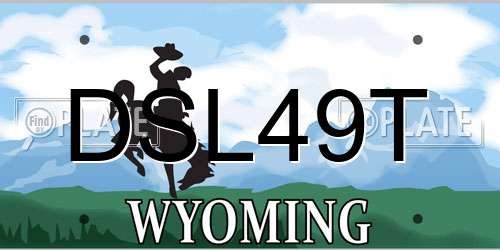 DSL49T Wyoming License Plate