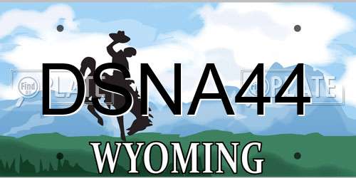 DSNA44 Wyoming License Plate