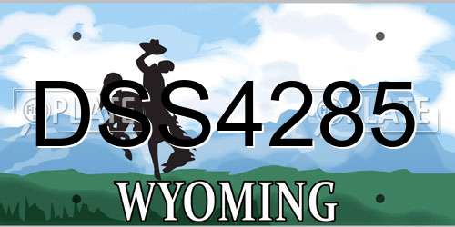 DSS4285 Wyoming License Plate
