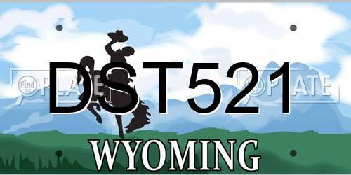 DST521 Wyoming License Plate