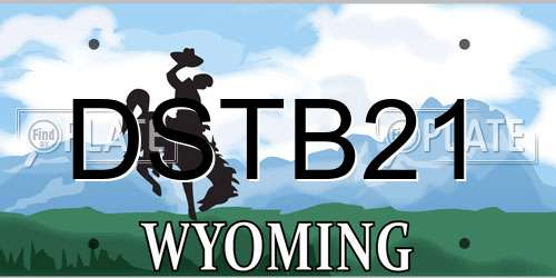 DSTB21 Wyoming License Plate