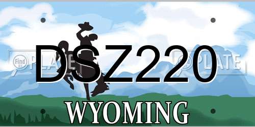 DSZ220 Wyoming License Plate
