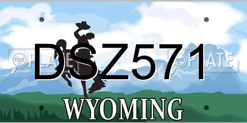 DSZ571 Wyoming License Plate