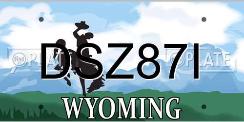 DSZ87I Wyoming License Plate