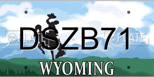 DSZB71 Wyoming License Plate