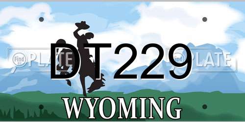 DT229 Wyoming License Plate