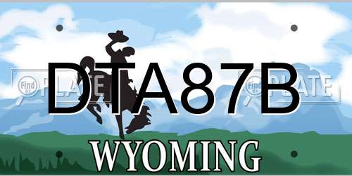 DTA87B Wyoming License Plate