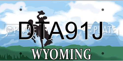 DTA91J Wyoming License Plate