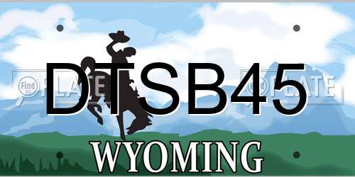 DTSB45 Wyoming License Plate