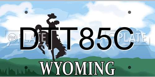 DTT85C Wyoming License Plate