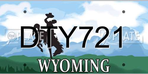 DTY721 Wyoming License Plate