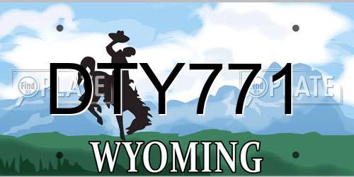 DTY771 Wyoming License Plate
