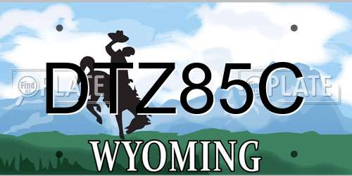 DTZ85C Wyoming License Plate
