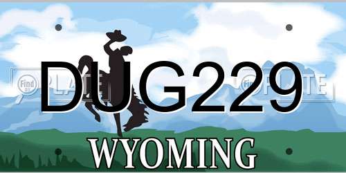 DUG229 Wyoming License Plate