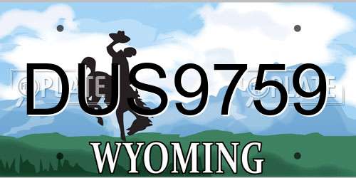 DUS9759 Wyoming License Plate