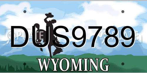DUS9789 Wyoming License Plate