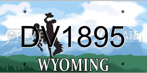 DV1895 Wyoming License Plate