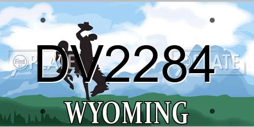 DV2284 Wyoming License Plate