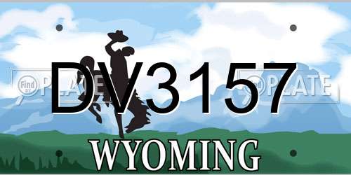 DV3157 Wyoming License Plate
