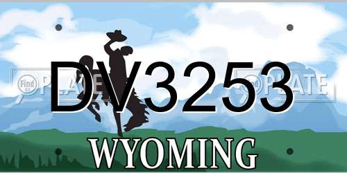 DV3253 Wyoming License Plate