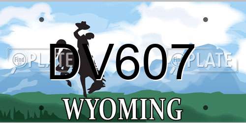 DV607 Wyoming License Plate