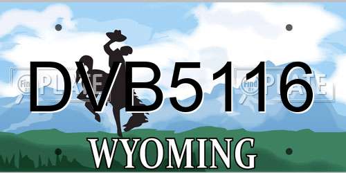 DVB5116 Wyoming License Plate