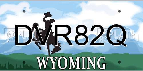 DVR82Q Wyoming License Plate