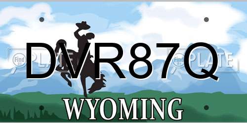 DVR87Q Wyoming License Plate