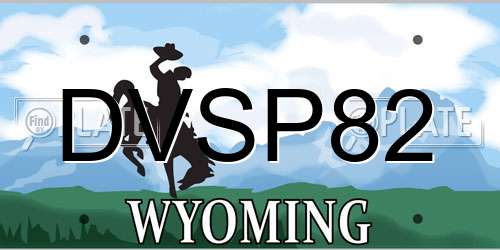 DVSP82 Wyoming License Plate