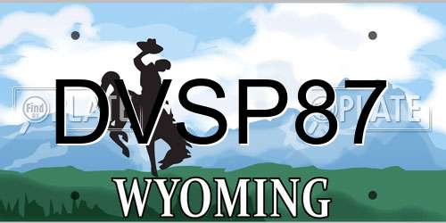DVSP87 Wyoming License Plate