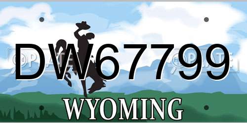 DW67799 Wyoming License Plate