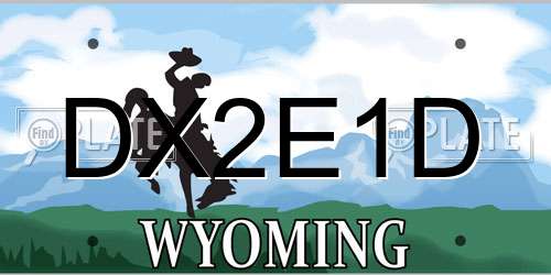 DX2E1D Wyoming License Plate