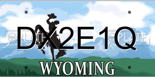 DX2E1Q Wyoming License Plate