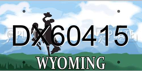 DX60415 Wyoming License Plate