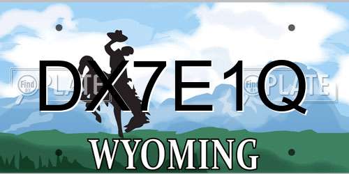 DX7E1Q Wyoming License Plate