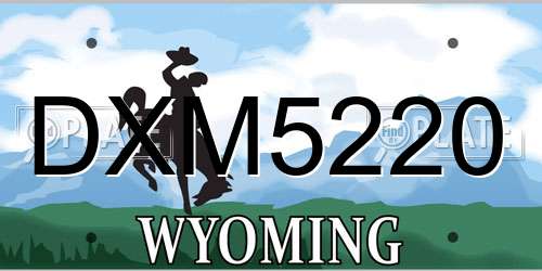 DXM5220 Wyoming License Plate