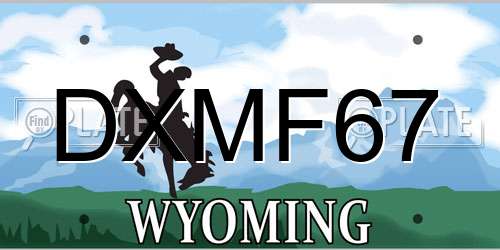 DXMF67 Wyoming License Plate