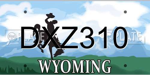 DXZ310 Wyoming License Plate