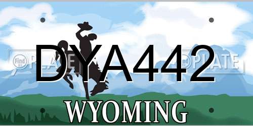 DYA442 Wyoming License Plate