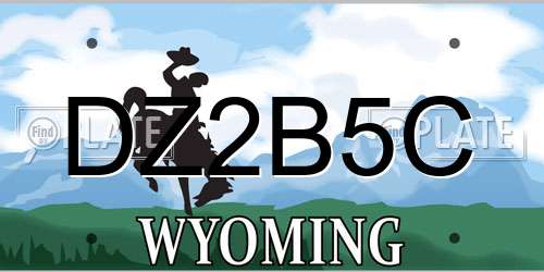 DZ2B5C Wyoming License Plate