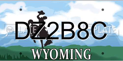 DZ2B8C Wyoming License Plate