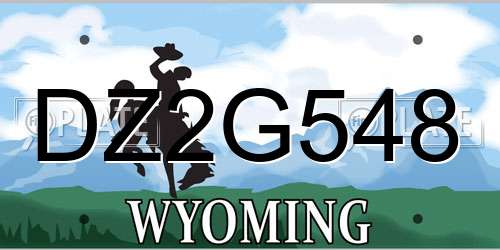 DZ2G548 Wyoming License Plate