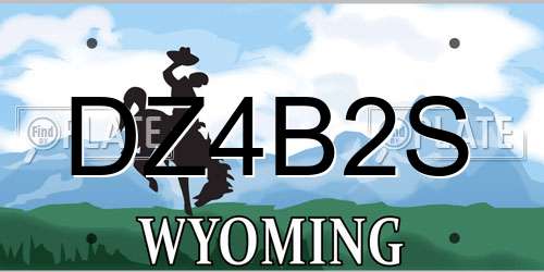 DZ4B2S Wyoming License Plate
